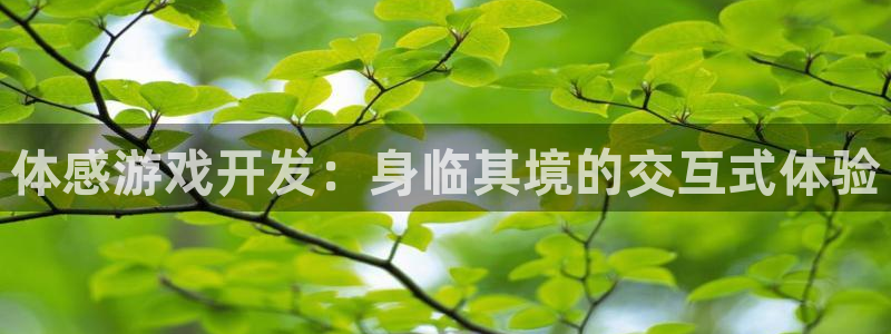 沐鸣2票35994度