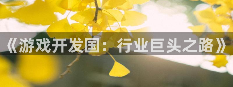 沐鸣娱乐2多彩平台