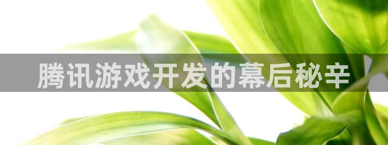 沐鸣2登录地址