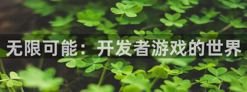 沐鸣2代理官网：无限可能：开发者游戏的世界