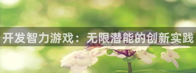 沐鸣2平台关7O777：开发智力游戏：无限潜能的创新实践