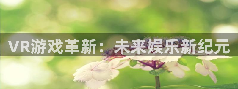 沐鸣2注册流程：VR游戏革新：未来娱乐新纪元