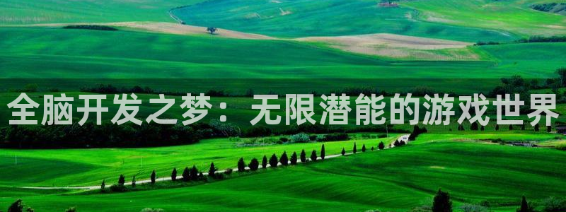 沐鸣娱乐2：全脑开发之梦：无限潜能的游戏世界