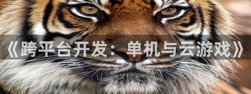 沐鸣2手机网页版：《跨平台开发：单机与云游戏》