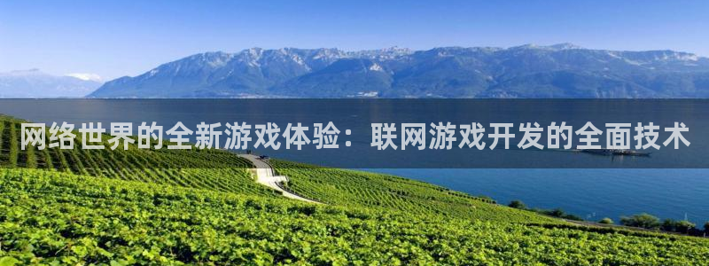 沐鸣2娱乐登录测速：网络世界的全新游戏体验：联网游戏开发的全面技术