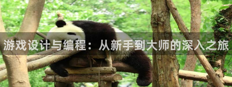 沐鸣2选 37OO735：游戏设计与编程：从新手到大师的深入之旅