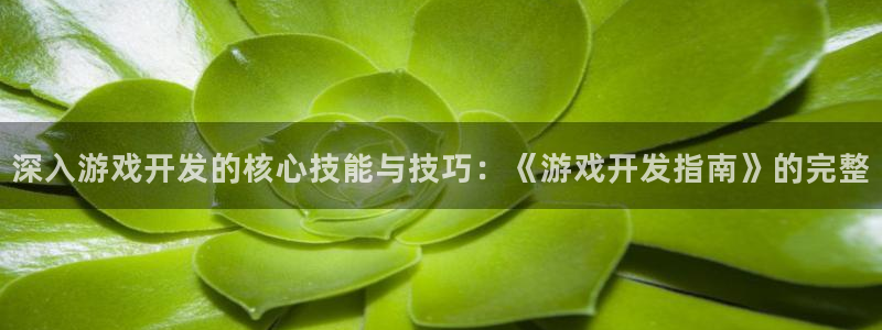 沐鸣娱乐2登录地址：深入游戏开发的核心技能与技巧：《游戏开发指南》的完整