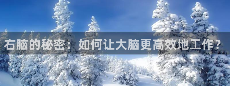 沐鸣娱乐2登录：右脑的秘密：如何让大脑更高效地工作？