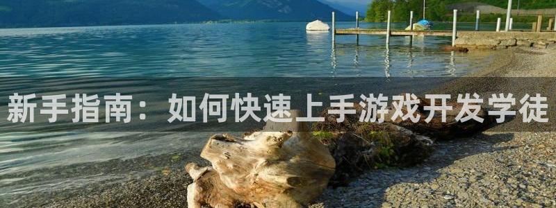 沐鸣2登陆扣27337：新手指南：如何快速上手游戏开发学徒