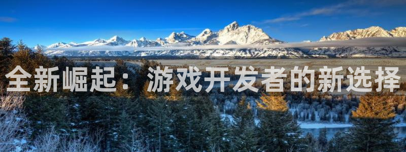 沐鸣2app官方：全新崛起：游戏开发者的新选择
