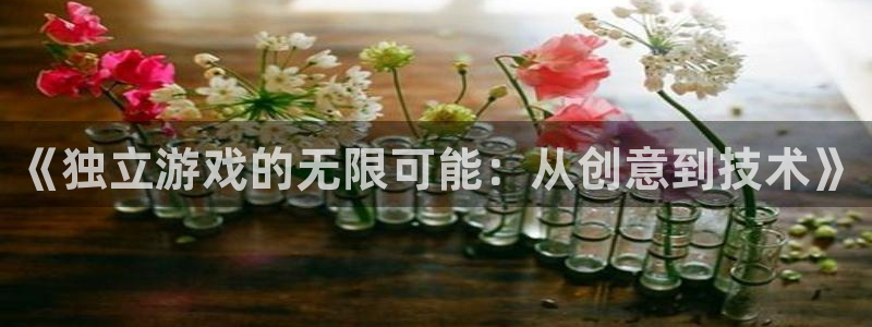 沐鸣2官方：《独立游戏的无限可能：从创意到技术》