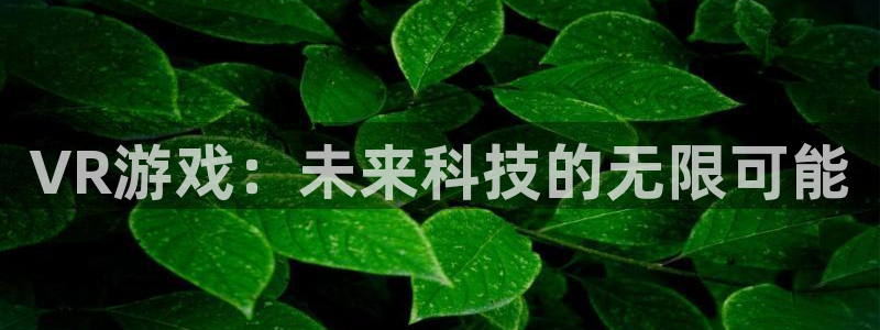 沐鸣2app官方：VR游戏：未来科技的无限可能