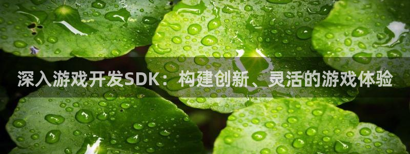 沐鸣娱乐2在线登录：深入游戏开发SDK：构建创新、灵活的游戏体验