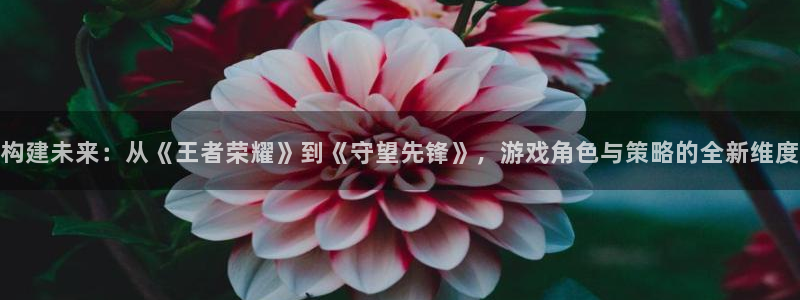 沐鸣娱乐2代理：构建未来：从《王者荣耀》到《守望先锋》，游戏角色与策略的全新维度