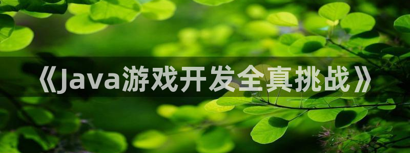 沐鸣2代理官网：《Java游戏开发全真挑战》