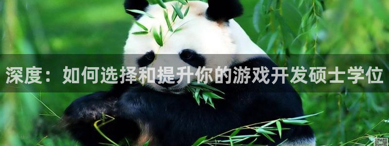 沐鸣2注册丘27337：深度：如何选择和提升你的游戏开发硕士学位