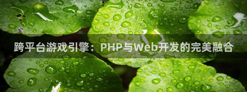 沐鸣2代理求27337：跨平台游戏引擎：PHP与Web开发的完美融合